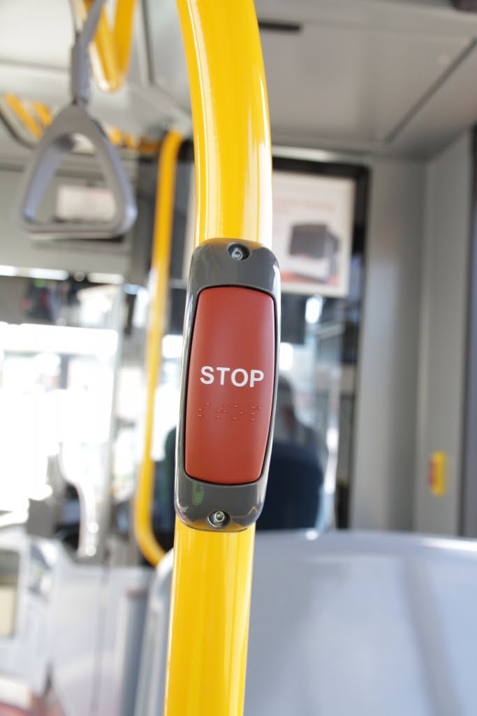Wrong Bus